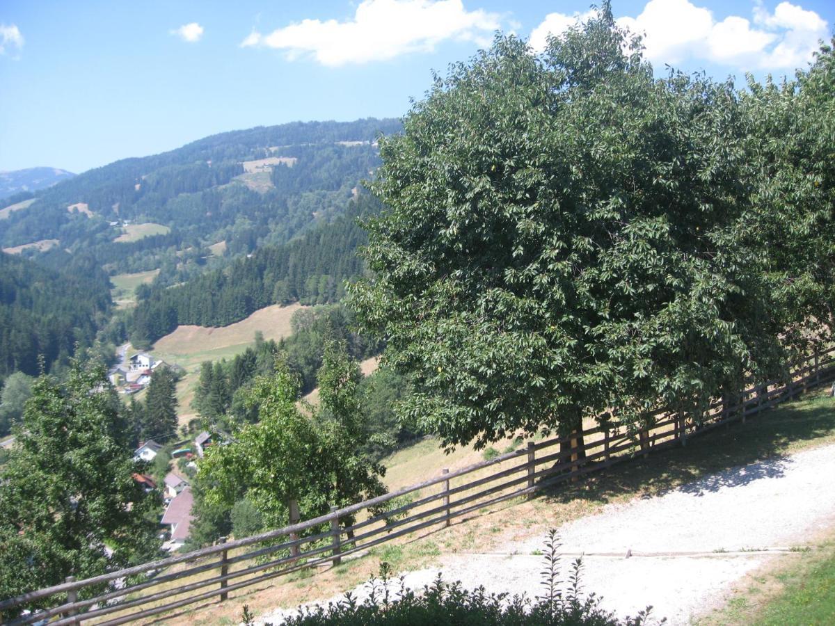 Bed and Breakfast Gerstbreinhof Bad St. Leonhard im Lavanttal Exterior foto